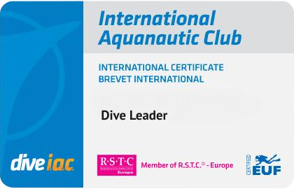 Dive Leader
