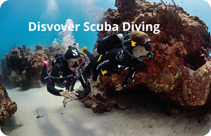 Disvover Scuba Diving