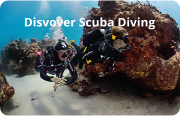 Disvover Scuba Diving