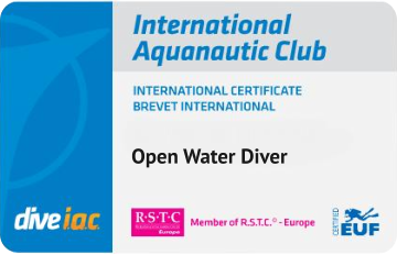 Open Water Diver